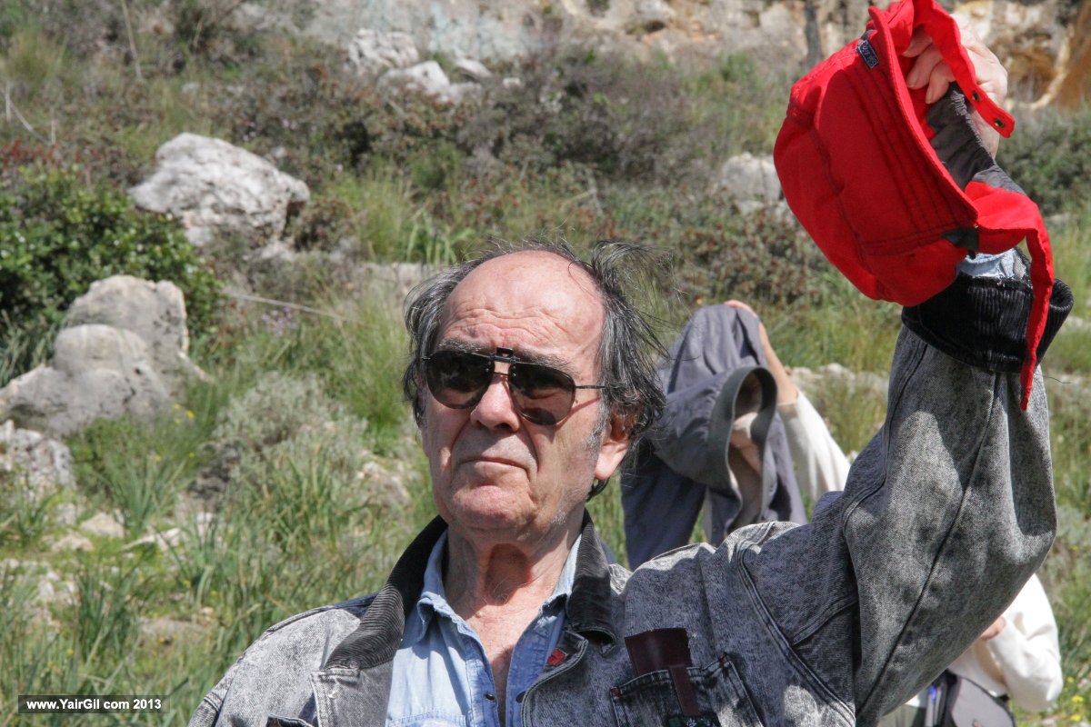 גדעון ספירו